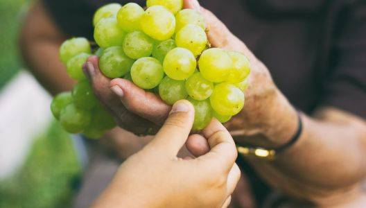 Best Snacks for Hypoglycemia