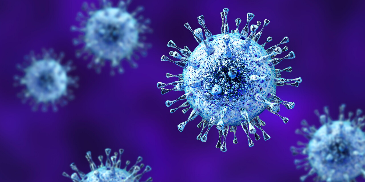 Virus Cause Alzheimer’s Disease