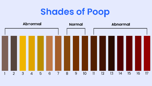 Yellow Poop