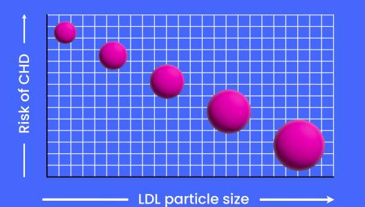 cholesterol-particle-size-and-risk-3000x2000.jpg