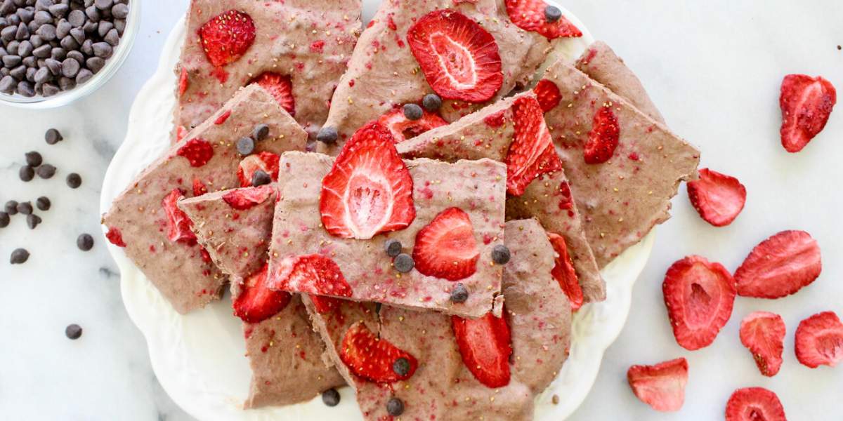 large-Chocolate-Strawberry-Yogurt-Bark-lg.jpg