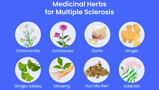 large-ms-medicinal-herbs.jpg