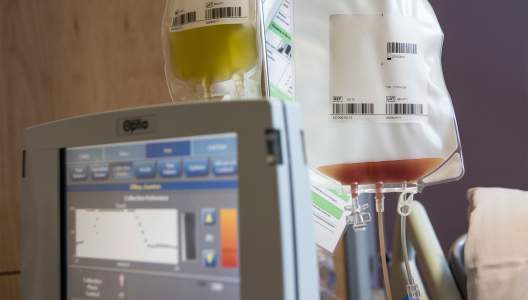 stem-cells-therapy-GettyImages-536205404-3000x2000.jpg